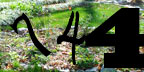 Human Verification Image