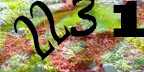Human Verification Image