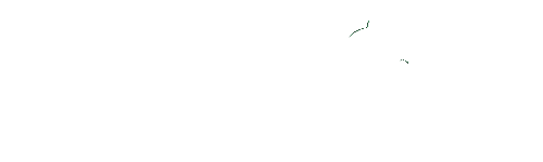 Palm Technology Logo