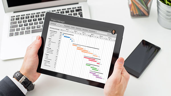 Palm Technology's typical project Sequence